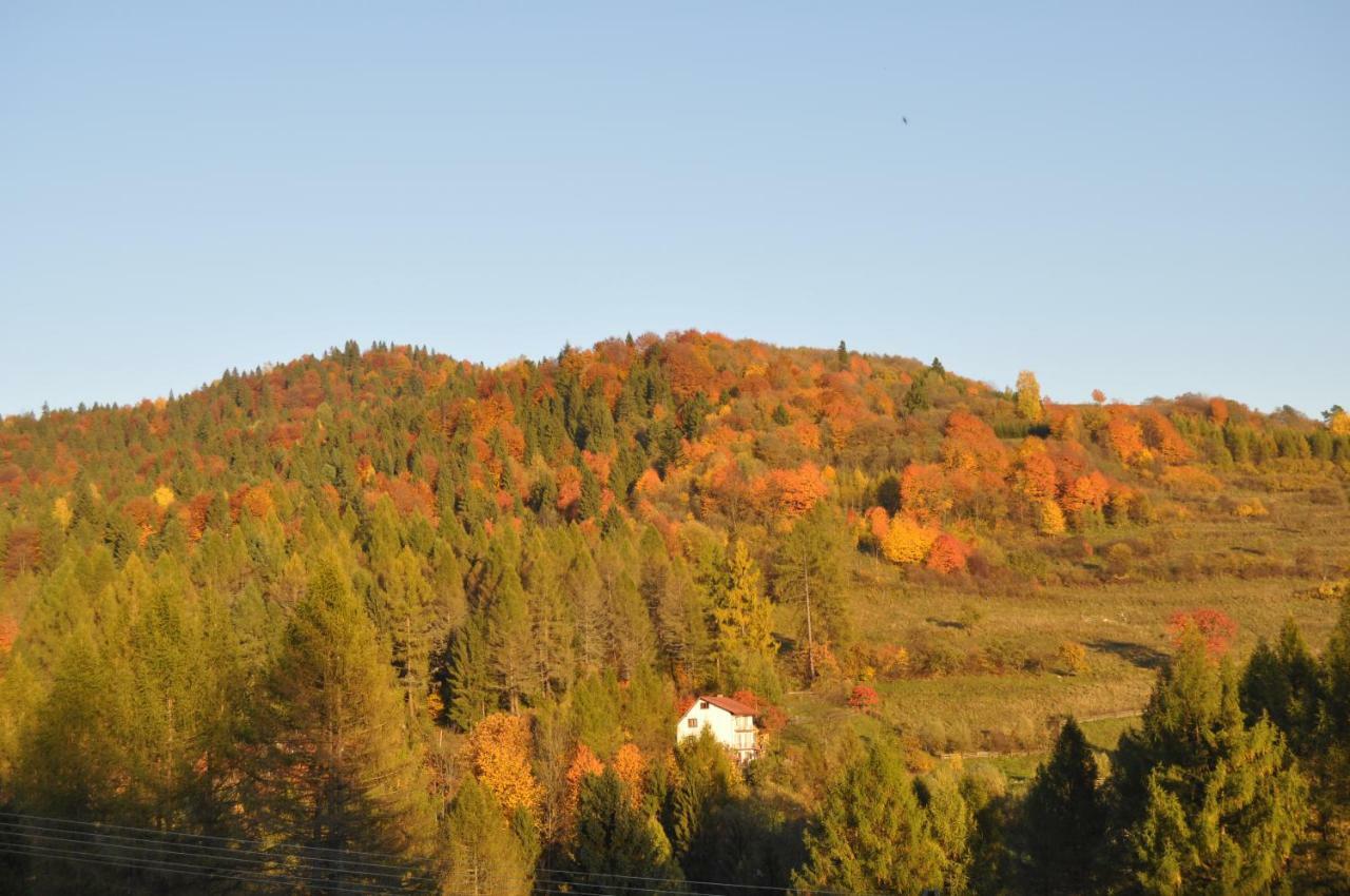 Willa Nad Wodospadem Szczawnica Exterior photo